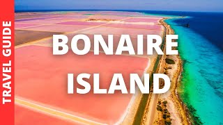 Bonaire Island Travel Guide 14 BEST Things To Do In Bonaire Island Carribean [upl. by Gaspard]