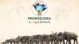 PROBOSCIDEA Size Comparison with Conservation Status LIVING amp EXTINCT [upl. by Erasmo]