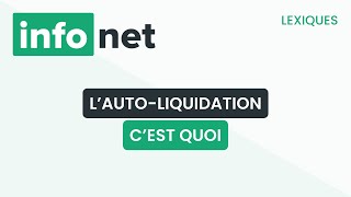 Lautoliquidation cest quoi  définition aide lexique tuto explication [upl. by Edge]