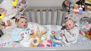 Night Routine With ALL My Reborn Dolls  Sophias Reborns [upl. by Eirroc]