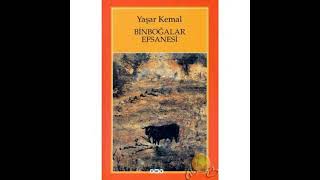 Yaşar kemal🌺Binboğalar efsanesi🌺 PART 11 roman seslikitap yaşarkemal чтение [upl. by Marya]