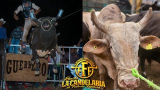 💥LA NUEVA TORADA de Rancho la CANDELARIA en Xochitepec Morelos [upl. by Taveda]