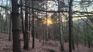 2022 PA Deer Season Self Filmed Deer Down [upl. by Airetahs]