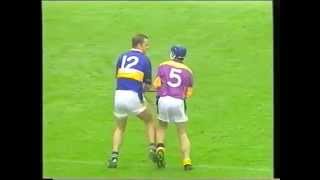 Tipperary vs Wexford Hurling Fight 2001 [upl. by Simmons]