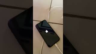 Restore iphone 11 via 3utools windows 11 [upl. by Yrffoeg]