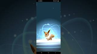 Eevee Evolves to Flareon  Pokemon Go pokemongo pokemongo funnymemes pokemon pokemonsmile poke [upl. by Bonns247]