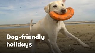 Dogfriendly holidays in the UK  30second cut [upl. by Manson]