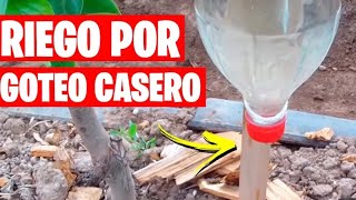 Riego por GoTeo 💧 casero fácil y gratis [upl. by Laroy]