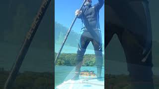 This is a great place to get paddled shorts viral reels paddleboarding [upl. by Tunk]