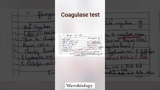 Coagulase test microbiologybiochemical testmltytshorts shortvideomicrobiologyviralshorts [upl. by Sidras]