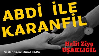 ABDİ İLE KARANFİL  Halit Ziya Uşaklıgil  Türk Edebiyatı Klasikleri Sesli Kitap [upl. by Dalston]