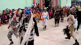 Danza de los chivos Atzacoaloya 2015 [upl. by Esinart921]