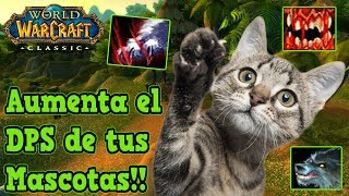 Mejores Poderes de Mascotas de Cazador ● WoW Classic [upl. by Winstonn]