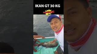 IKAN GT 40 KG MONSTER WekeManiaRore [upl. by Calhoun]