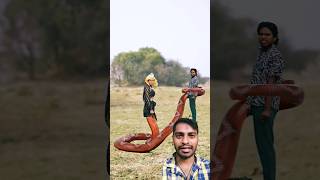 Jal Para Ne Amlete Diya 😂😂 ￼ foolboys newcomedy funny greenscreen [upl. by Cardew]