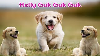 Heli Guk Guk Guk  Anjing Kecil Lucu Berlari Lari  Lagu Anak Indonesia [upl. by Hudgens846]