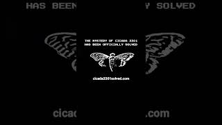 Cicada 3301 officially solved [upl. by Kristina]