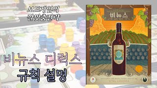 비뉴스 디럭스 에디션 Vinhos Deluxe Edition 동영상 설명 [upl. by Clift]