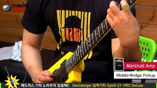 Todaysgear Steinberger Spirit GTPRO Deluxe [upl. by Cyrano]