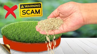 6 SECRETS TO GROW LAWN GRASS FROM SEED  Beware of Seed Scams [upl. by Constantin260]