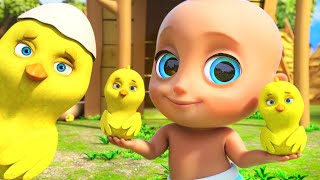 Los Pollitos  Mi Pollito Amarillito 🐣🐤 Canciones Infantiles [upl. by Layod]