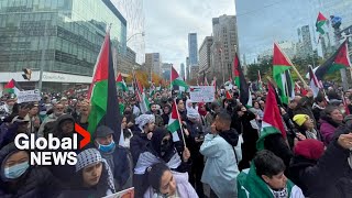 Toronto protesters rally in support of Gaza ceasefire as Jewish community holds vigil [upl. by Eaned]