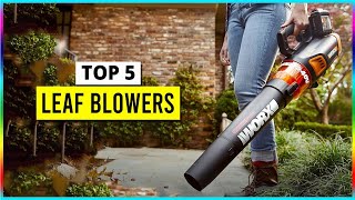 Best Leaf Blowers in 2024  Top 5 Picks [upl. by Nanice81]