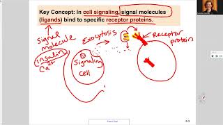 181 Ch9 Cell Signaling Overview [upl. by Kelcey]