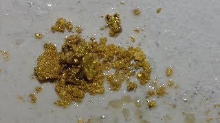 How to identify gold and pyrite [upl. by Fulvia]