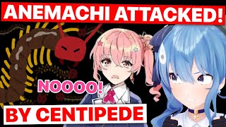 Anemachi Attacked By Centipede Hoshmachi Suisei  Hololive Eng Subs [upl. by Koren810]