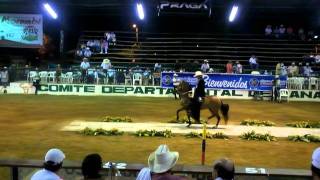 marsellesa FERIA TABLA [upl. by Anerb]