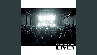 Elefant Live 2016 [upl. by Eylhsa]