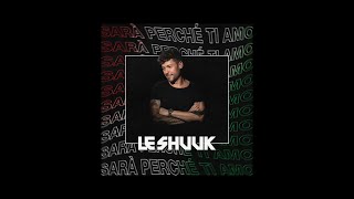 Le Shuuk  Sara perche ti amo Lyric Video [upl. by Ijar]