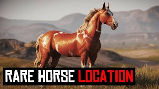 9 BEST HORSE LOCATION IN RDR2 [upl. by Attecnoc]