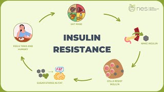 Insulin Resistance [upl. by Ecinrahs]