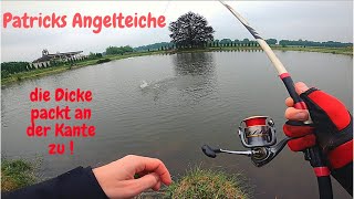 Forellenangeln mit Pose im Sommer Bodentaster Patricks Angelteiche Lachsforelle Powerbait Big Trout [upl. by Kenleigh]