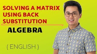 PRECALCULUS Back Substitution in Solving a Matrix [upl. by Micaela953]