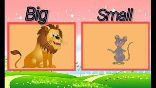 Tall and Short  Math Song l Nursery Rhymes amp Kids Songs [upl. by Serrano907]