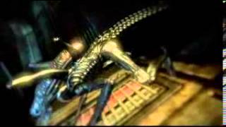 Aliens vs Predator  Xenomorphs [upl. by Lissak]