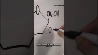 Concepts of acids bases [upl. by Torhert445]