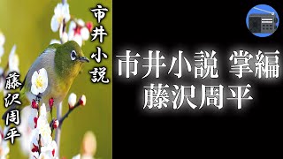 【朗読】「市井小説 掌編（如月）」江戸の十二カ月を鮮やかに切りとった掌篇集 “江戸おんな絵姿十二景”。著者最後の作品集！【時代小説・歴史小説／藤沢周平】 [upl. by Ymeraj678]