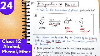 24 Halogenation of phenol Reaction of phenol with Bromine water and BromineAlcohol phenol class12 [upl. by Assennav]