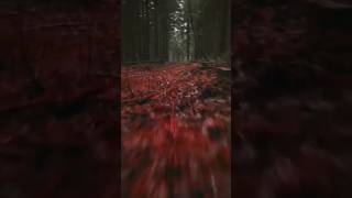 quotTrapped on a Vampire Island The BloodChilling Creepypasta You Wont Escapequot [upl. by Luahs]