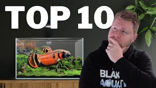 Top 10 UNIQUE Fish for Your 20 Gallon Aquarium [upl. by Notniv]