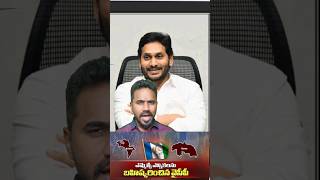 YCP Boycotts MLC Elections ysjagan appolitics CBN pawankalyan mlc election shorts tdp news [upl. by Schreibman194]