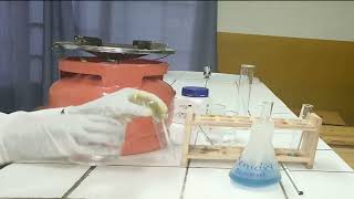 Preparation of Benedict reagent and Test for reducing sugar [upl. by Dyanne]