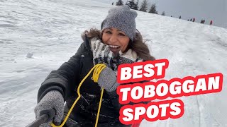 The Best Toboggan Spots In Toronto [upl. by Neona929]