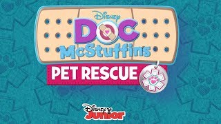 Pet Rescue Music Video  Doc McStuffins  Disney Junior [upl. by Bergman]