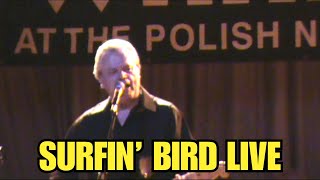 Surfin Bird LIVE  The Trashmen in Brooklyn NYC [upl. by Madelene]