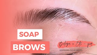 COMO FAZER SOBRANCELHAS SOAP BROW COM SABONETE DE GLICERINA  BROW LAMINATION PROVISÓRIA [upl. by Irod]